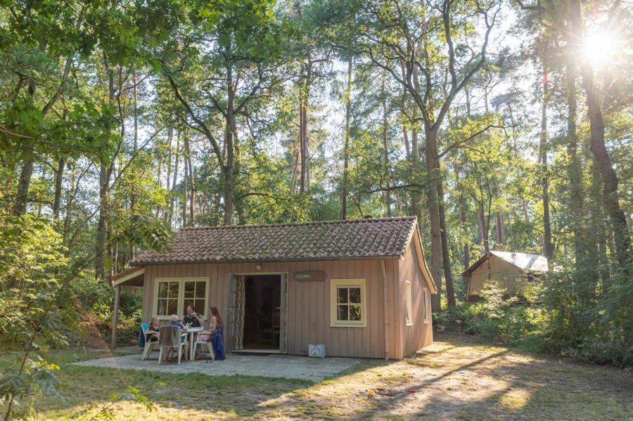 Chalets De Roos Beerze المظهر الخارجي الصورة
