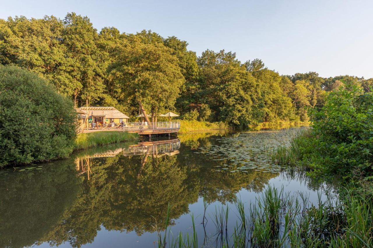 Chalets De Roos Beerze المظهر الخارجي الصورة